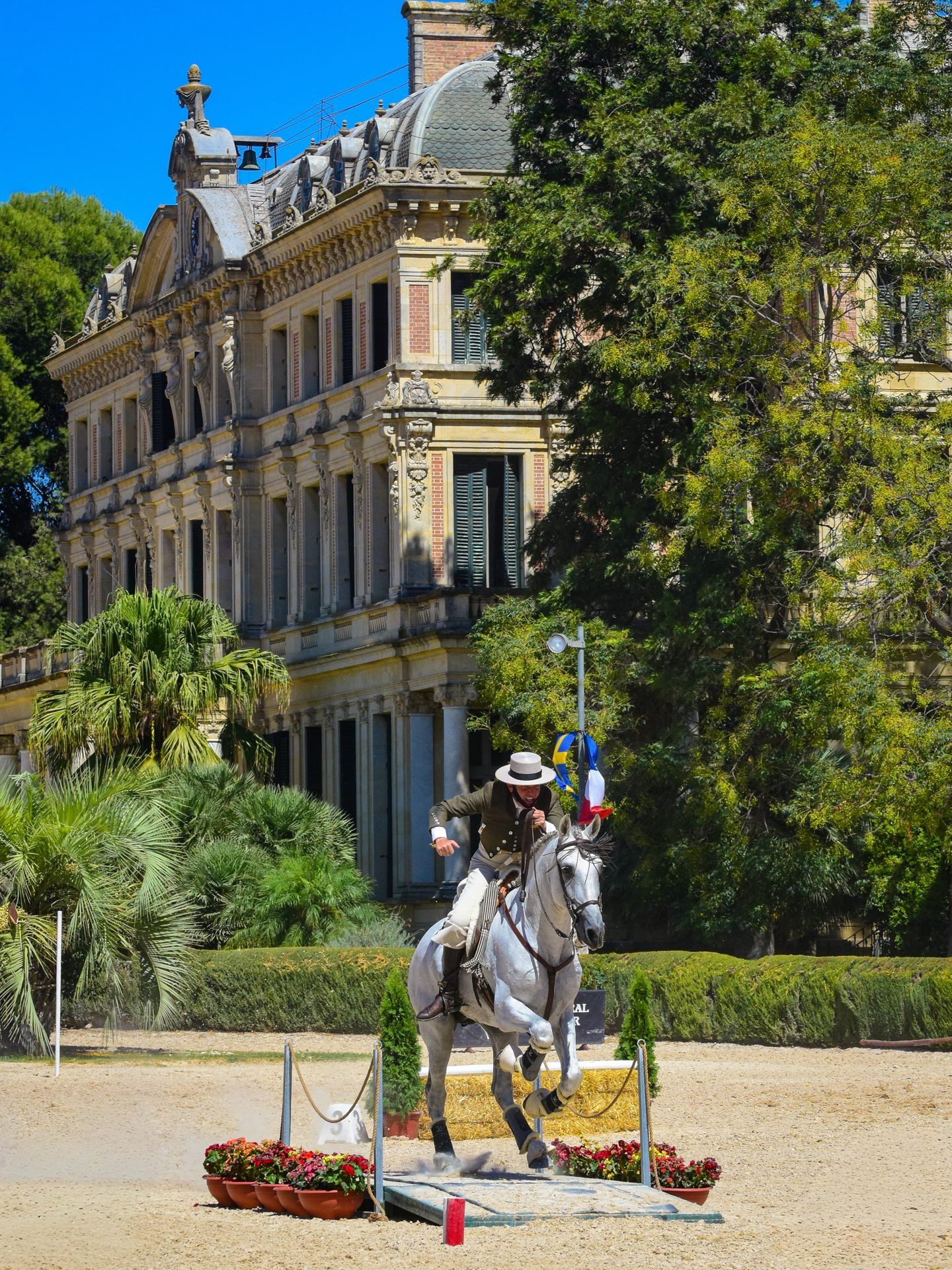 Sydney International Equestrian Centre