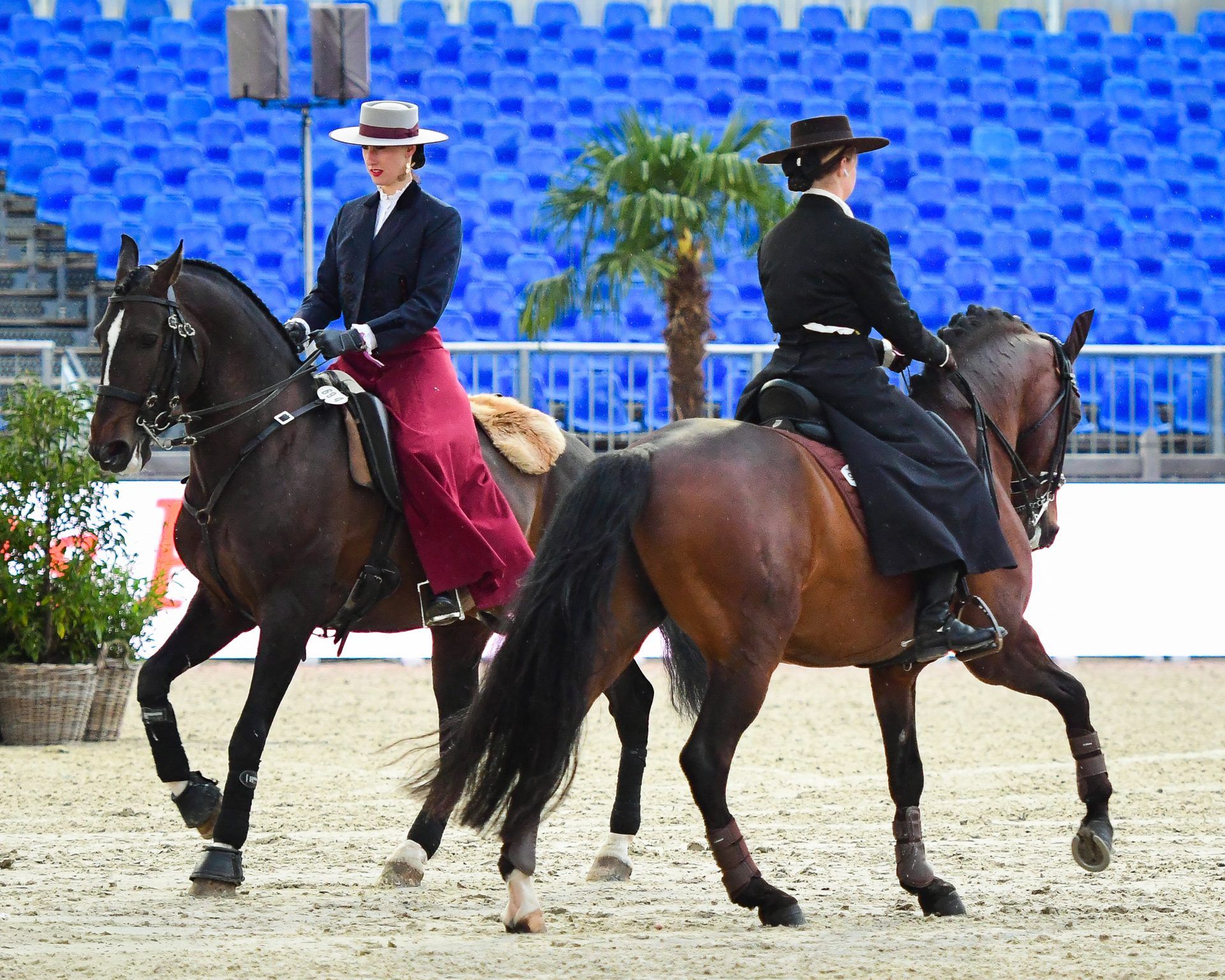 WAWE Qualifier Italy