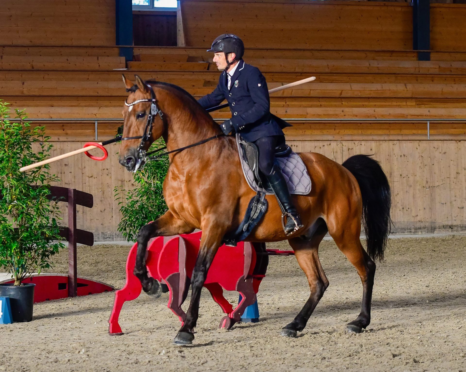 WAWE international competition, Switzerland