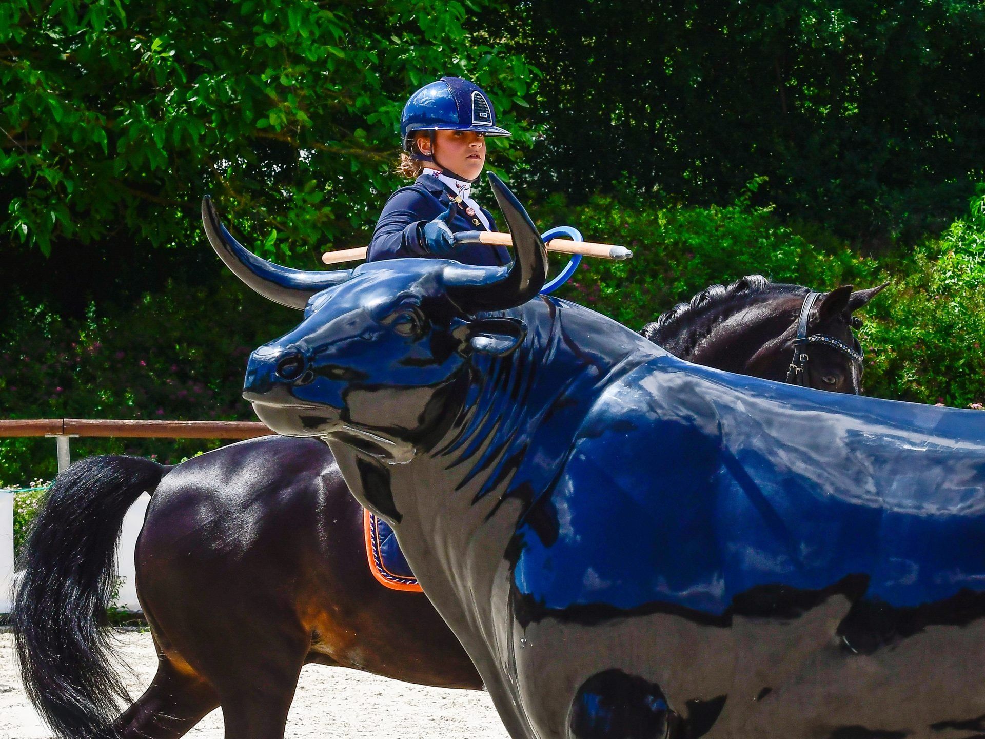 WAWE World Championship Juniors and Young Riders